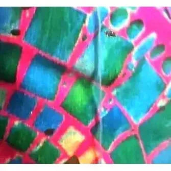 EDEN MIDI Dress-DRESS-Wendy Bashford Designs